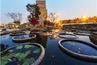 續建項目-觀賞魚農民文化公園